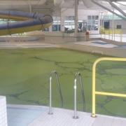 A layer of green algae hasd covered Keswick Leisure Pool last year. Picture: Barry Harding