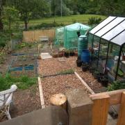ALLOTMENTS: Carlisle has the most per 100,000 people in the UK
