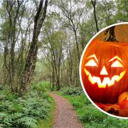 Watchtree Nature Reserve is inviting people to take part in it's Watchtree Haloween Challenge this year, Picture: Dot Fraser
