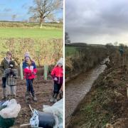 PLANT: Volunteers help out with placing 425 trees along Speet Gill. Picture: Wildlife for Wigton/Facebook