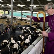 Official opening of the Newton Rigg College dairy unit at Sewborwens Farm near Penrith. The Bishop of Carlisle The Right Reverend James Newcombe blessing the herd  on March 21 2014. Picture: Jonathan Becker