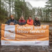 Growing Well at Tebay Services team Mark Hurrell, Kate Lund, Fay Haslam, and Cate Bentley, at the kitchen garden site