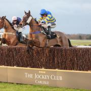 An exciting day of races is on the cards at Carlisle Racecourse