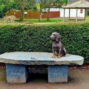 Max the Miracle Dog's statue in Keswick, by Phil Waldron