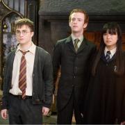 Chris Rankin plays one of seven Weasley children