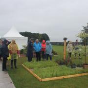 Cumbria in Bloom's garden at RHS Tatton Park Flower Show 2023