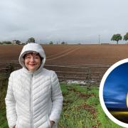 Lorraine McAdam, standing by the field (main pic) where she encountered the craft (inset, illustrated by her friend via AI)