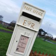 The white letter box is in Vulcans Park by the reflection garden