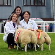 Hall family who the AR Bulmer Championship Cup for the best pair of prime lambs...credit Kayley Kennedy