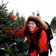 Looking for a real Christmas tree this year? Look no further than Cumbria