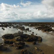 Allonby Bay receives highly-protected marine status