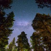 Head to Whinlatter for a guided Dark Skies walk on January 27 and February 9