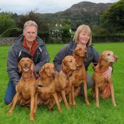 Derek and Simone Whitfield from Keswick with their family of Hungarian vizslas