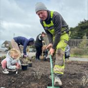 Volunteers re-develop the flower beds
