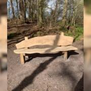The new bench on Gelt Woods' Black Path