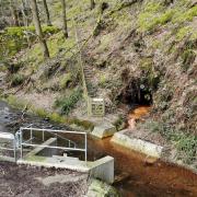 Metal polluted water entering Gategill Beck from the adit