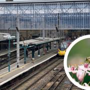 Carlisle Railway Station (main pic) and stock image of a bee