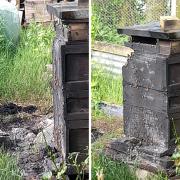 The active bee hives which were 'burnt out' in Siddick