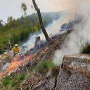 Cumbria Fire and Rescue Service tackling a wildfire at Whinlatter in 2021