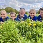 Pupils at Fellview Primary School, Caldbeck, are taking part in No Mow May