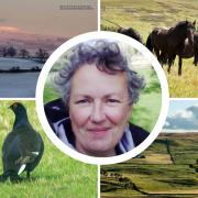 Pictures from new book The North Pennines (surrounding pics) by Helen Shaw (centre pic)