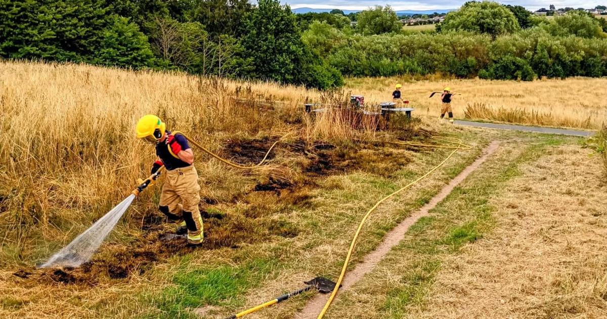 Grasbrand hinter Pirelli durch weggeworfene Zigarette ausgelöst