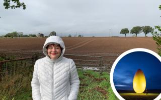 Lorraine McAdam, standing by the field (main pic) where she encountered the craft (inset, illustrated by her friend via AI)