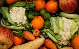 UK must reduce reliance on overseas fruit and veg, says PM